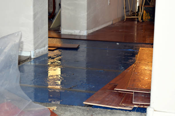 Professional Basement Flood Cleanup technician working in North Hatfield, MA